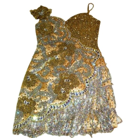 Couture Swarovski Crystals Luxury Flowers Fringes Designer Cocktail Runway Dress - Picture 10 of 12